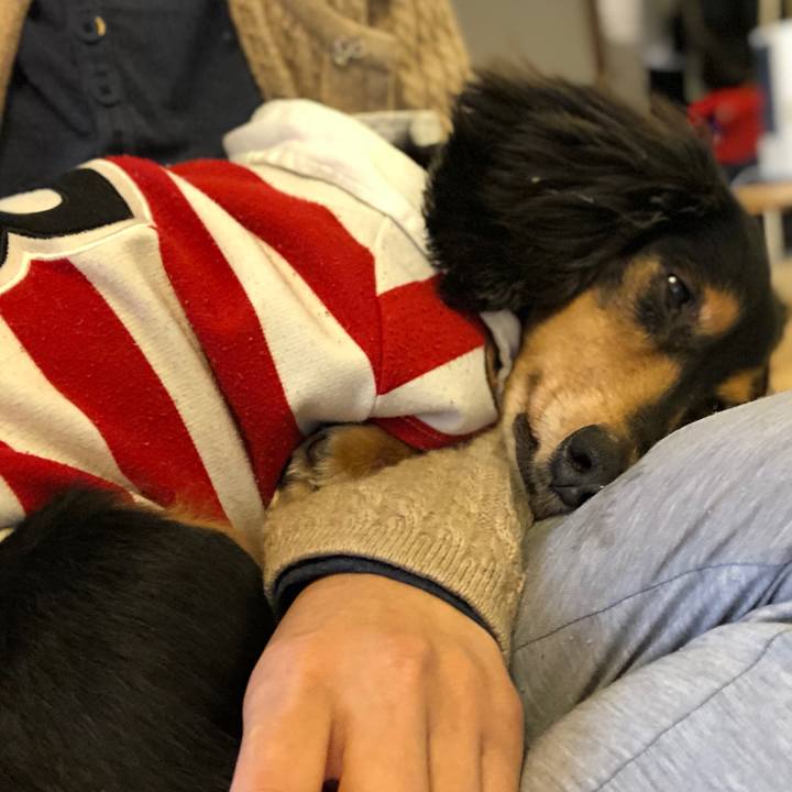 7802d03f c0e8 489f 8205 cc72f340ac95 1545090910985