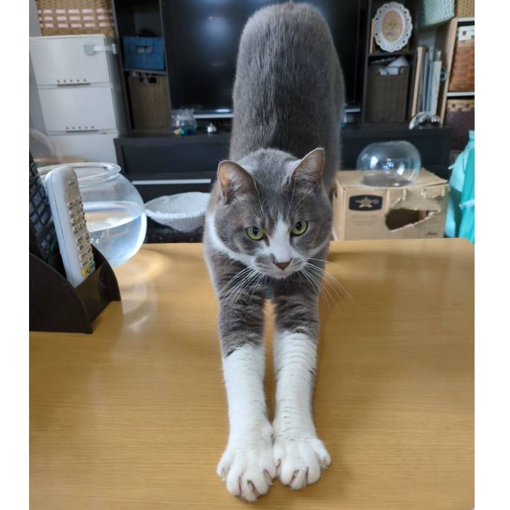 7802fbc0 a860 4743 8377 af3604bf4b7a 1737272233255