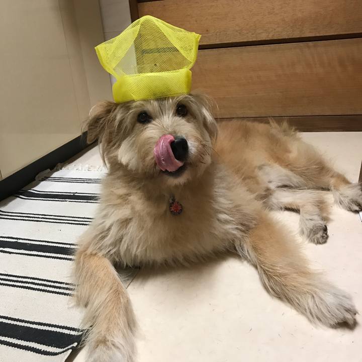 78030a3f 24d7 47a4 92ee a2200766cd60 1536843819143