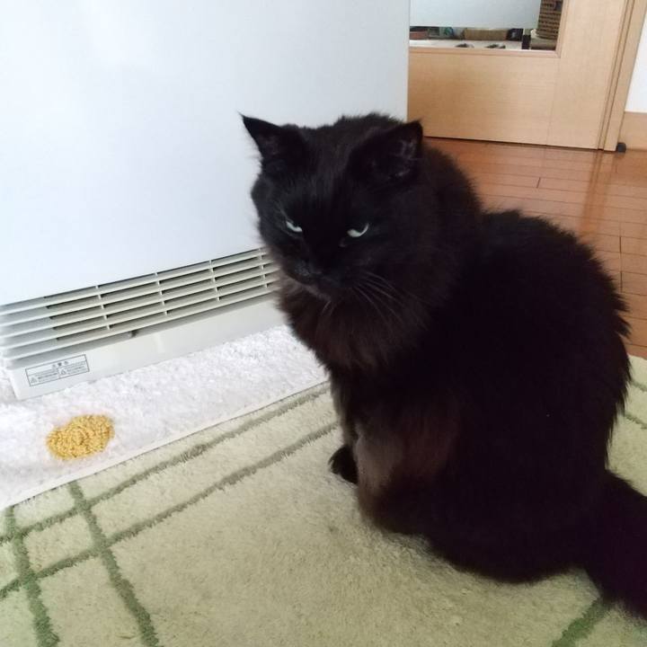 780355ad addb 4ef5 9284 7e31d779453c 1608592551450