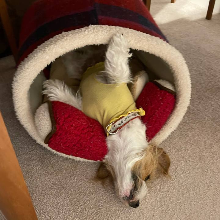 78035677 1b05 4c38 af34 ae6a89d55d0b 1764943229394