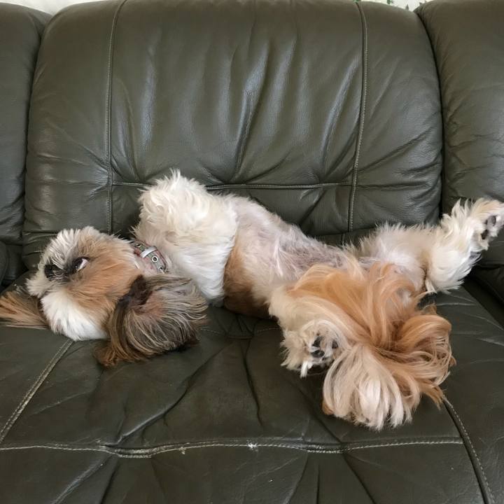 7803c72f 8490 4a9f b4d1 6afda01be3c4 1533447638854