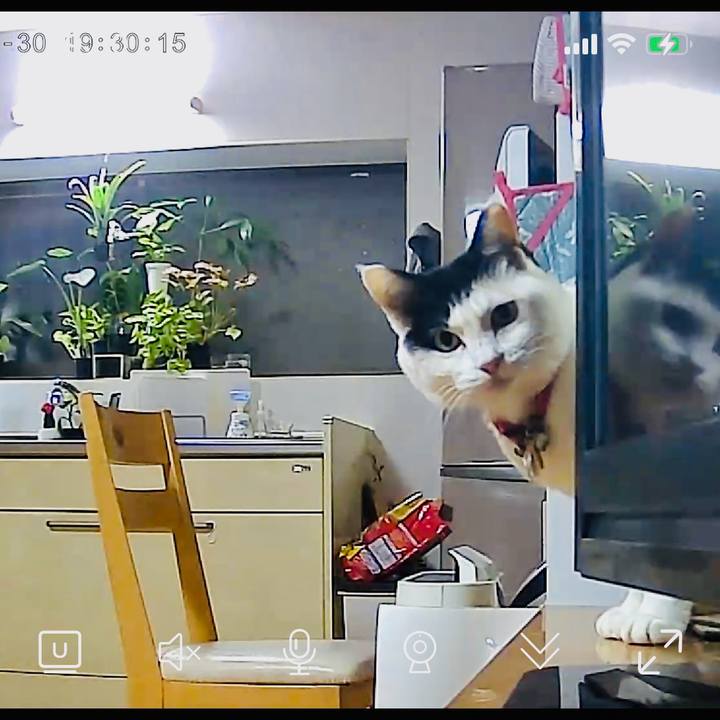 78041500 424a 4efe 9313 7ab4a6706344 1738244294970