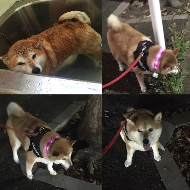 780419ec 9f38 4105 bfa9 9a6b376427f1 1597406836797