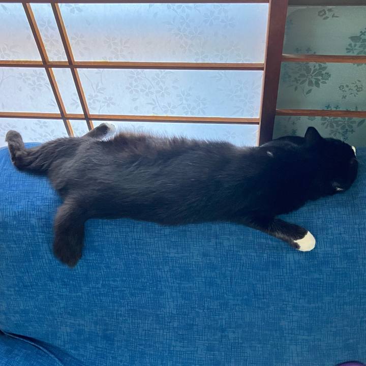 78043df1 026c 4440 b7a6 8528757fe09d 1757560863305