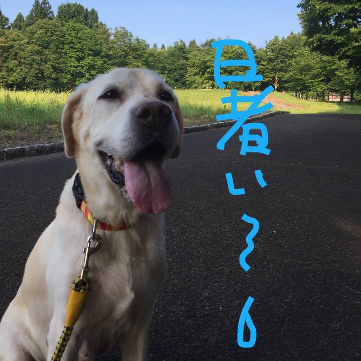 78043f44 a89c 4a75 8ada efa0360f1cb0 1561538072474