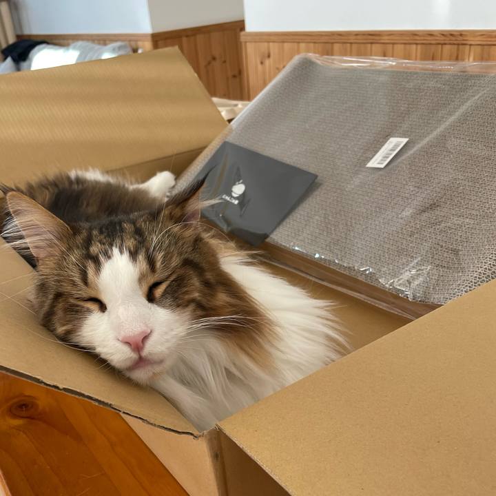 78046585 379a 4747 ae7c af883069fbf9 1671932432835