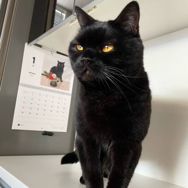 78047039 5ccf 48a9 bf19 0c453a78a7a9 1704350914015