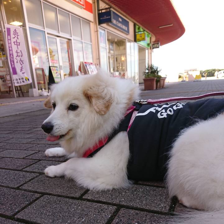 780477b4 32dd 439c 89bc 6b3ba379676c 1538876173450