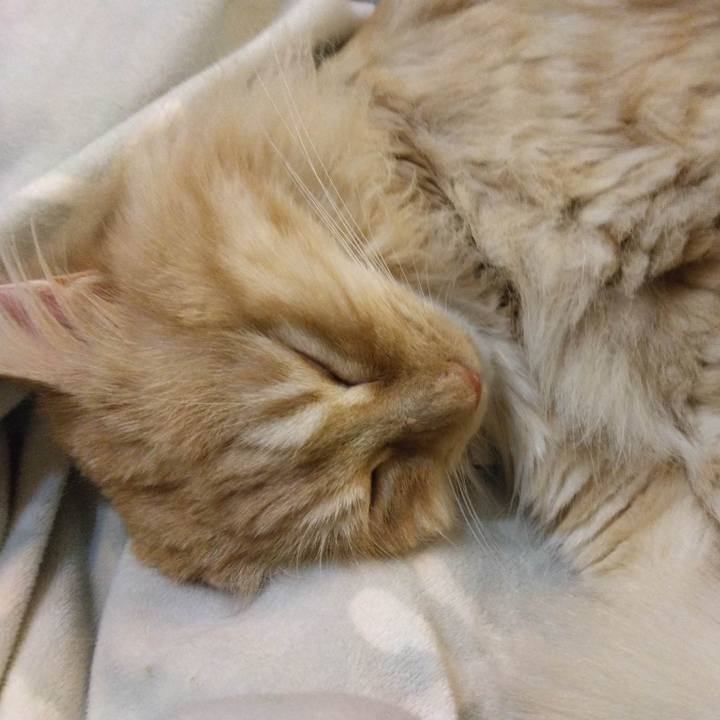 78051ff2 f2d7 435d 85b5 461b3bc9d00a 1680612301300