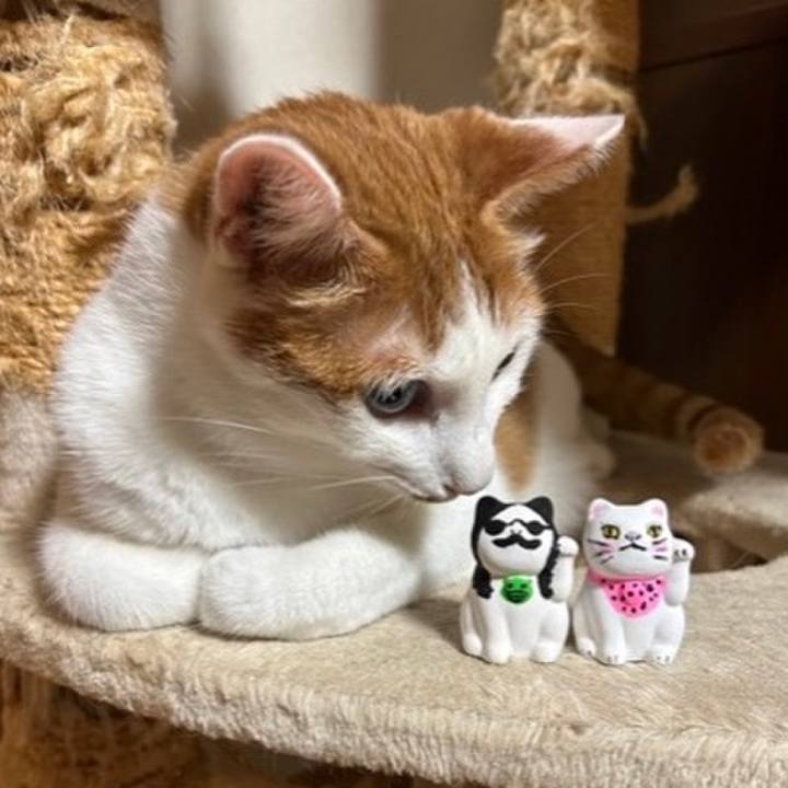 7805360d bea6 4809 85da c3868fbcc4fb 1691240941063