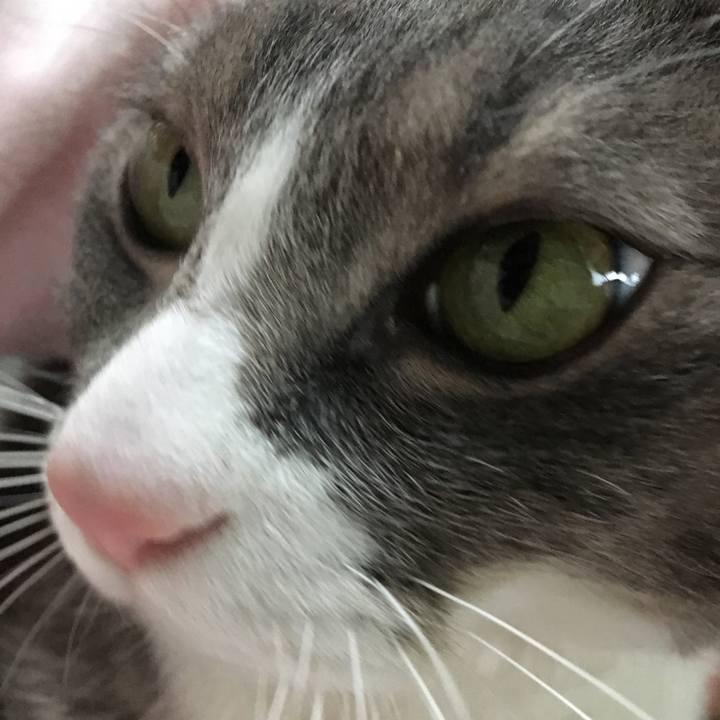 78053a10 aa7d 4bb7 bffa 8dda1fe6f0fc 1550922494466