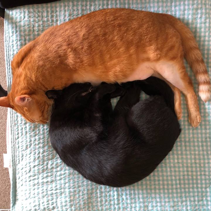 780546d9 3cac 41cd a85d 25b20da906ba 1687042179497