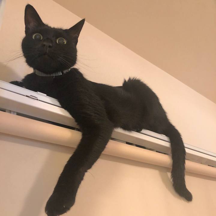 7805496e de14 49c5 a54f 9ffd716a4c0d 1569851298493