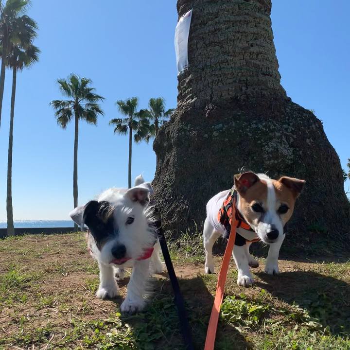 78055020 e5cd 45ee adfa 62d83826ed66 1635556959717