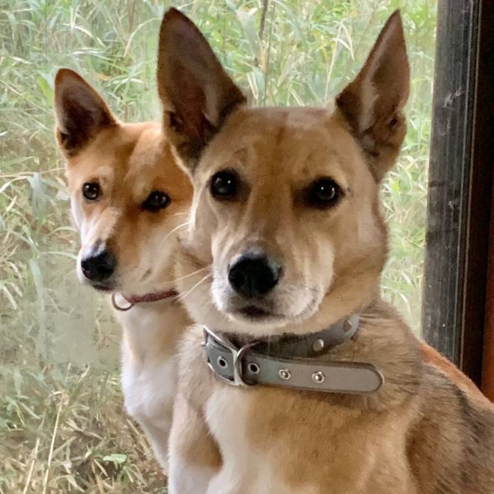 78056c16 1e3d 49f1 bf4a 3180e916ec83 1586057768558