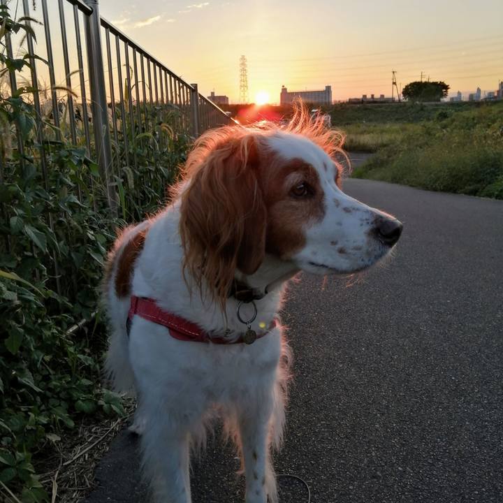 78058ad9 6631 4d71 ac3c f262157ae231 1635334768921