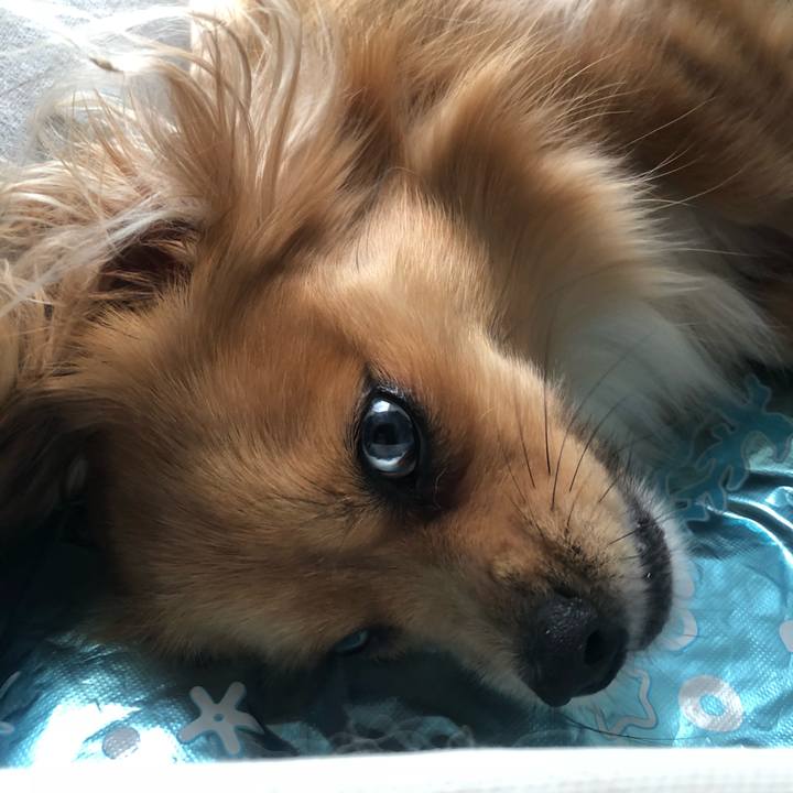 78058d9f d49c 4dd6 a6e9 74cecfff64a8 1535665276718