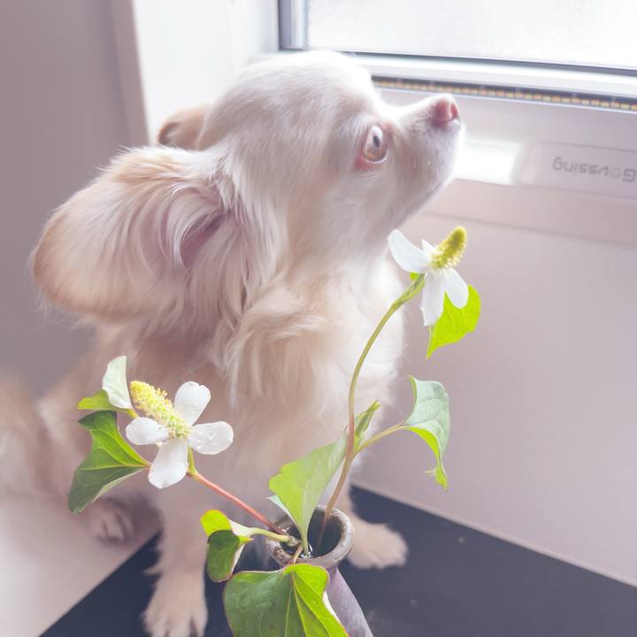 78059a8a f17e 4d17 8f60 6b7734166291 1747986748342