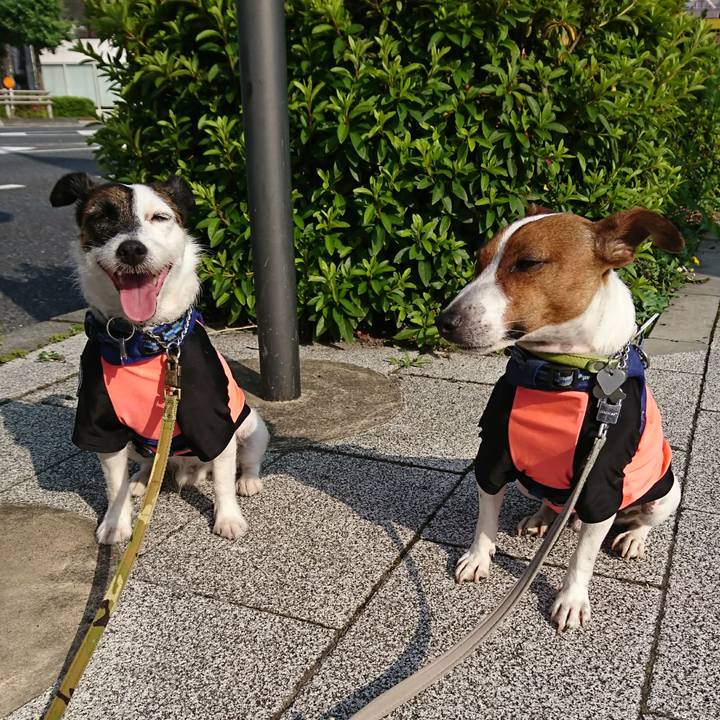 7805c427 7b45 4342 b604 884b257c31ce 1591654954808