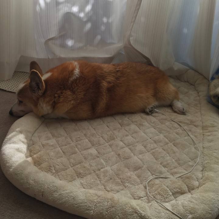 780662a0 e573 42ca acf4 d6c3ac3dd7d4 1546139298479