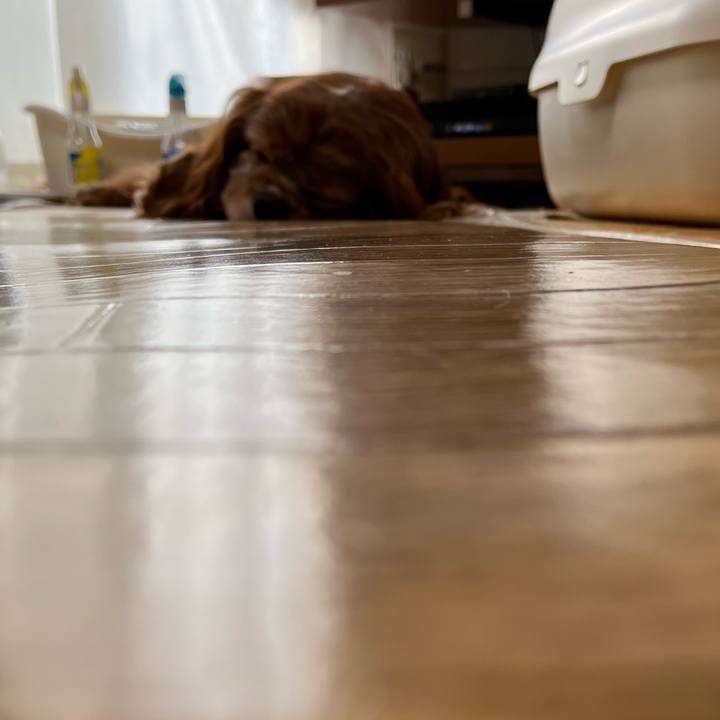 780672f5 3e42 4a2a a381 b64ea7431077 1770338721815