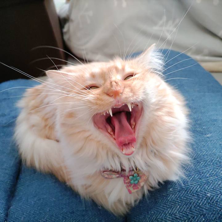 78068b46 59d0 47e6 978e 5be860629485 1672629634911