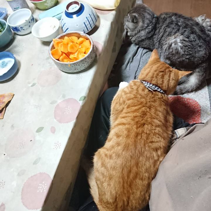 78068ee8 d1cf 4e5d b292 2d0b36564440 1574422801860