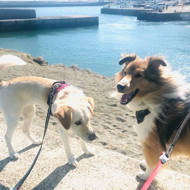 7806ac7d 232f 48a5 99b4 8c70d2d425a5 1581517145509