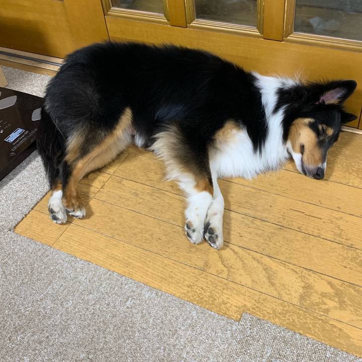 78070176 8e8e 4e42 a0a3 a799ae5f8ed5 1546552032396