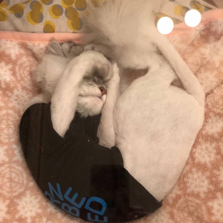 78070f38 53f1 4a59 b7c9 05f9f66c685b 1523787590057