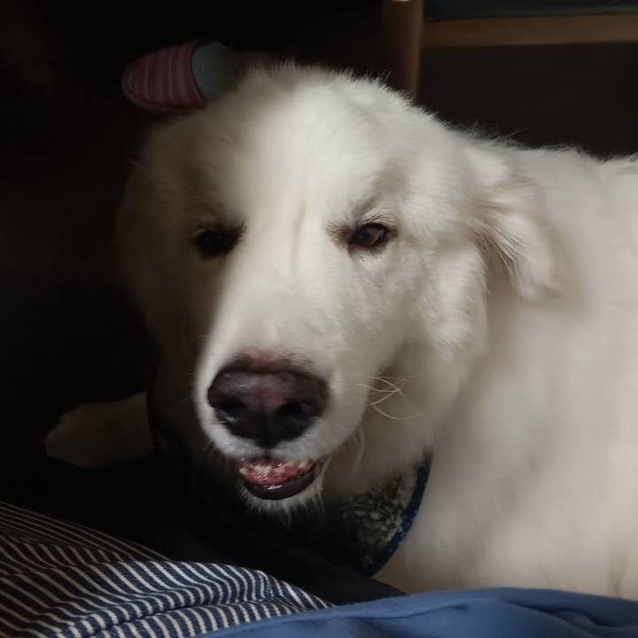 780723d2 b9be 470f b128 dd145c3df1bf 1721622698258