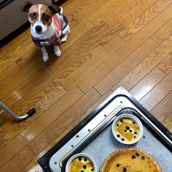 7807356e 81fd 46e0 bed2 53a34646b912 1595486857416