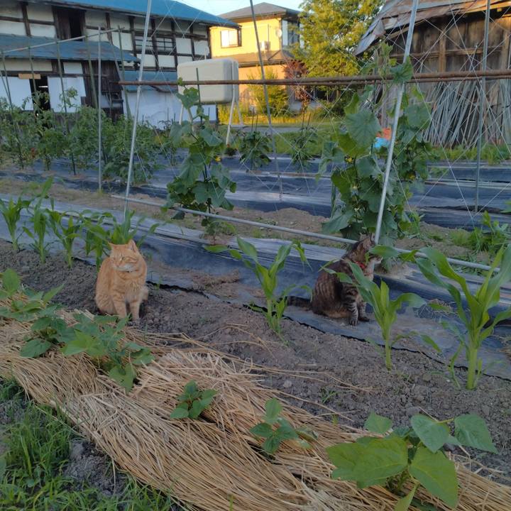 7807493b 2a40 4685 a794 e4427b5b4747 1687256584905