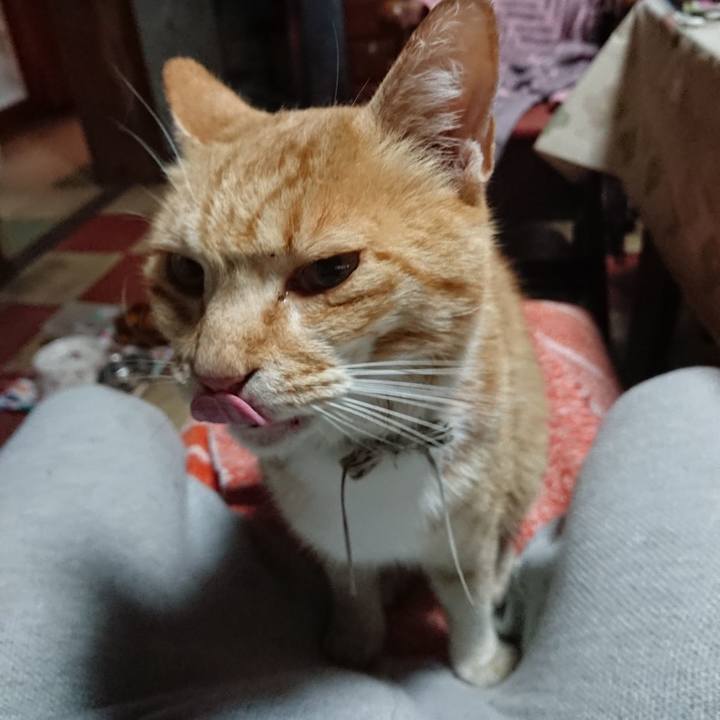 78075ff4 99c0 41d4 97a6 c76c7ff4a529 1591560940068