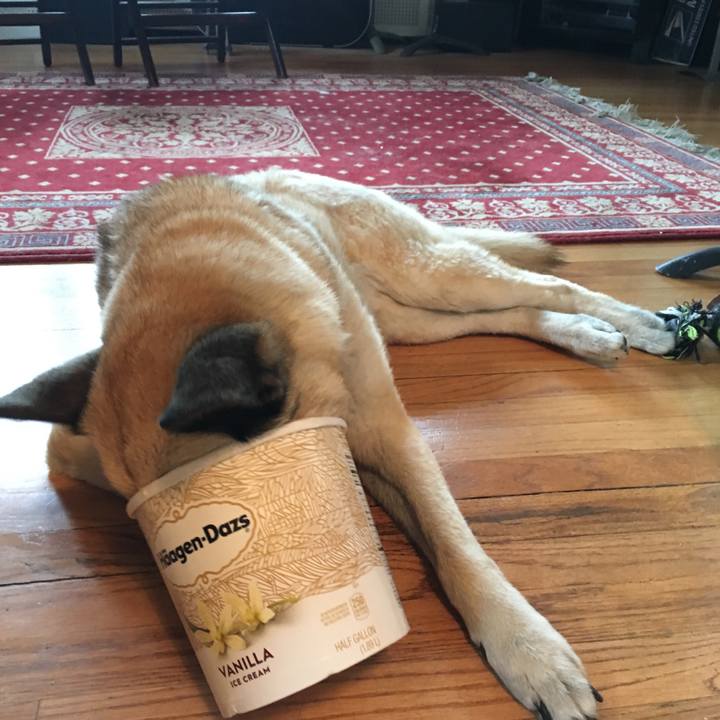 7807896d de52 4743 a3a6 7172b5cab5bf 1526698364426