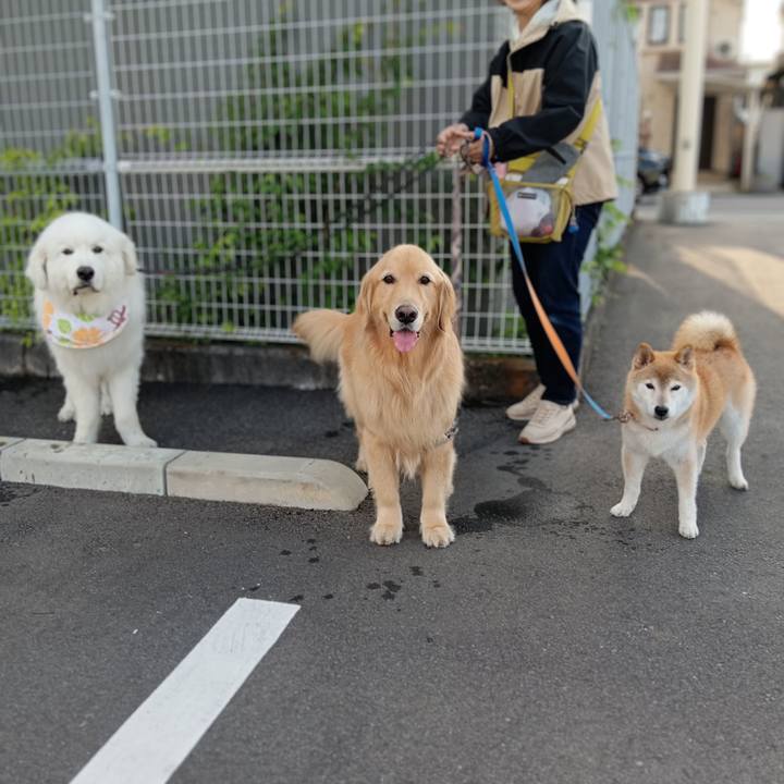 7807bbd7 c204 4527 94f9 f06aae2e7868 1717157048784