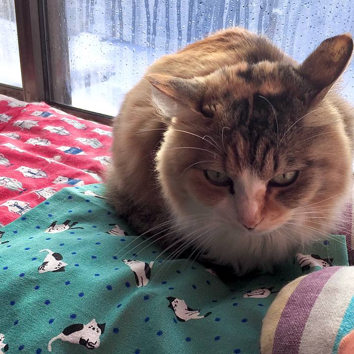 78085491 7bb9 45f0 b812 7741ecc68d51 1608525232300