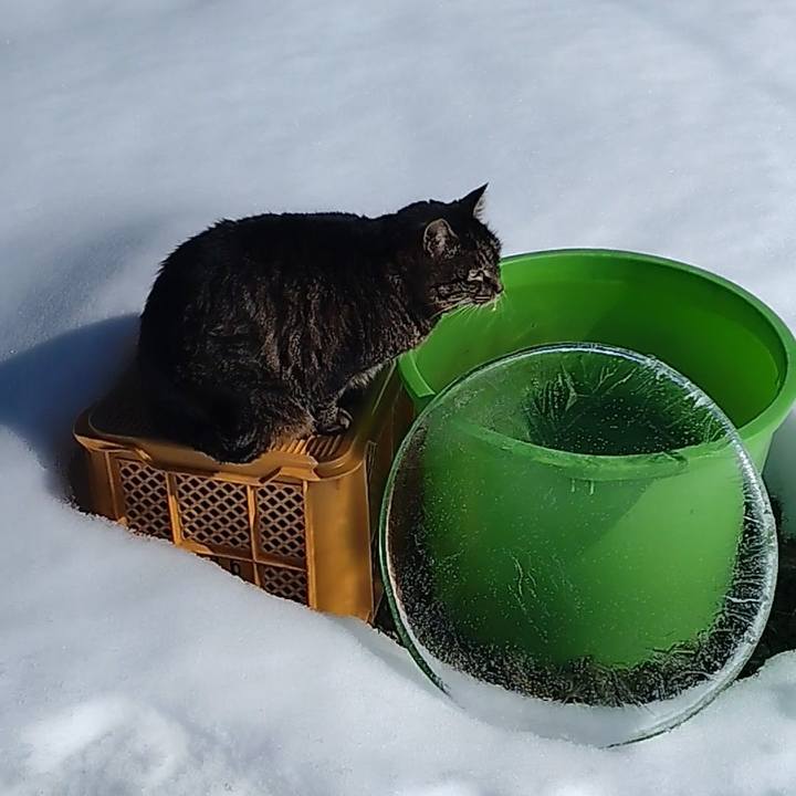 78085dbd 8658 4f22 be40 bc03d91b921c 1707536989388