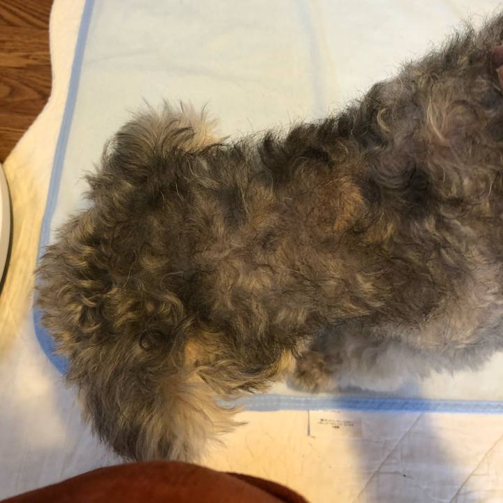 78085ee0 ae31 4cd4 8636 f87c0ce929c7 1538711179935