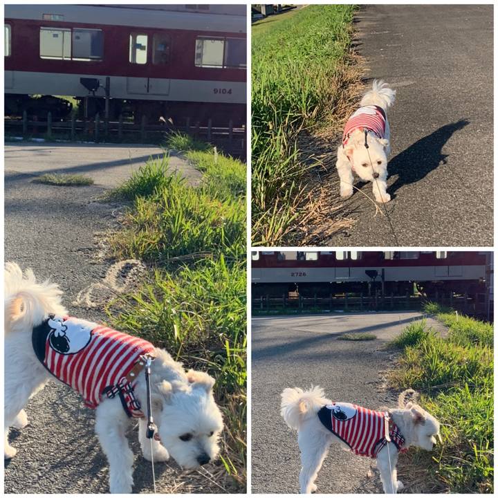 78086599 265b 496e 8e78 dee56e49c151 1603538397522