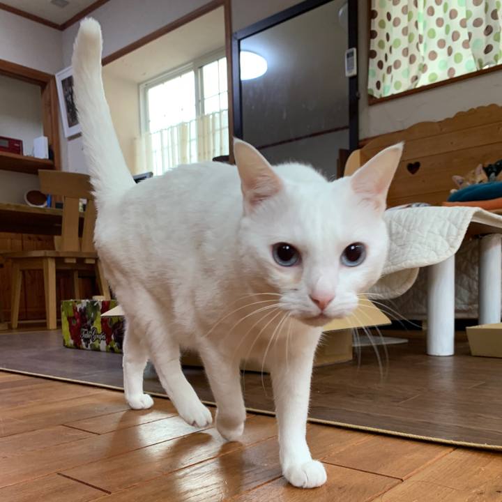 78087182 ed29 4254 baad 515b82d990b7 1655072586059