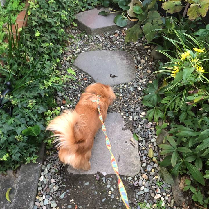 7808752f 4eeb 40a9 b387 cc62215f2912 1509313821655