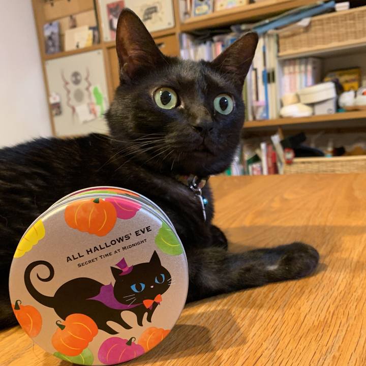 780883ff eb41 47fa 8897 5e161d3fc654 1568030134554