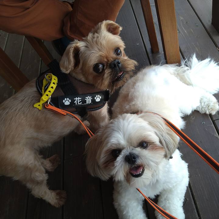 780889ea 6671 493b 805e 4d17252ad7a7 1633406946447