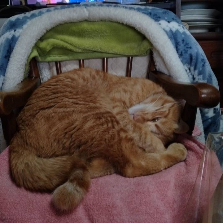 780897e1 6bb8 4961 8830 2cfa861f1e66 1670116873034