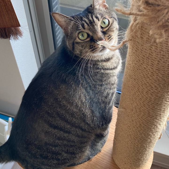 7808a2a4 2e11 485a 8da3 994f5b130670 1709419739309