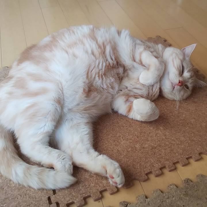 7808a2c5 ed6a 47e1 af8a 7e674fe7745d 1557983100398