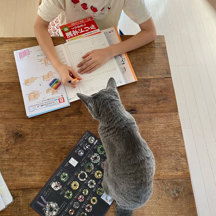 7808a583 8a85 4db8 85c1 2d2197ca42a2 1594121365775