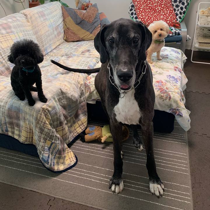 7808b252 ec0d 45f8 9d02 836c6a997352 1561415468788